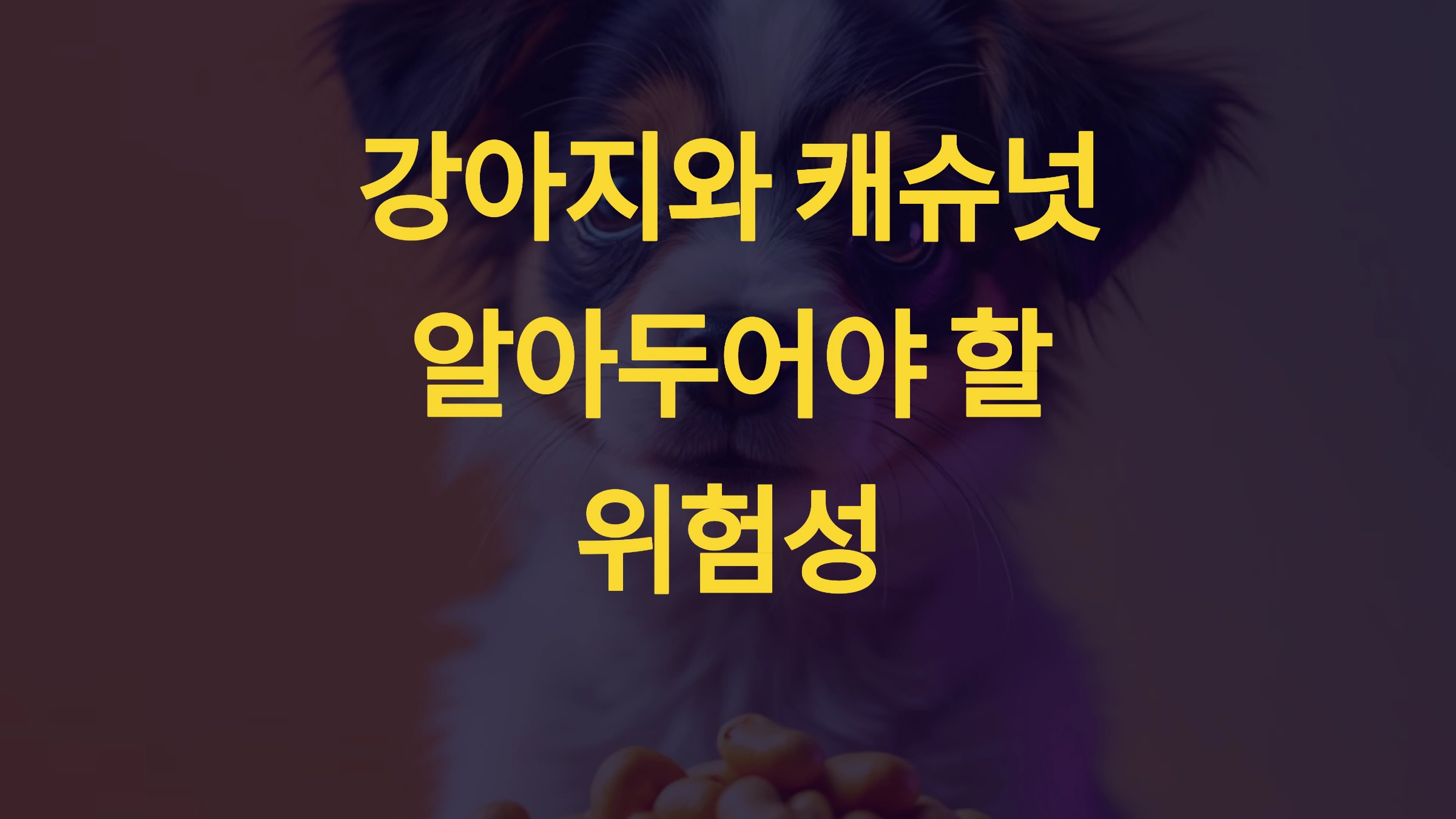 🐶 강아지가 캐슈넛을 먹으면 안 되는 이유