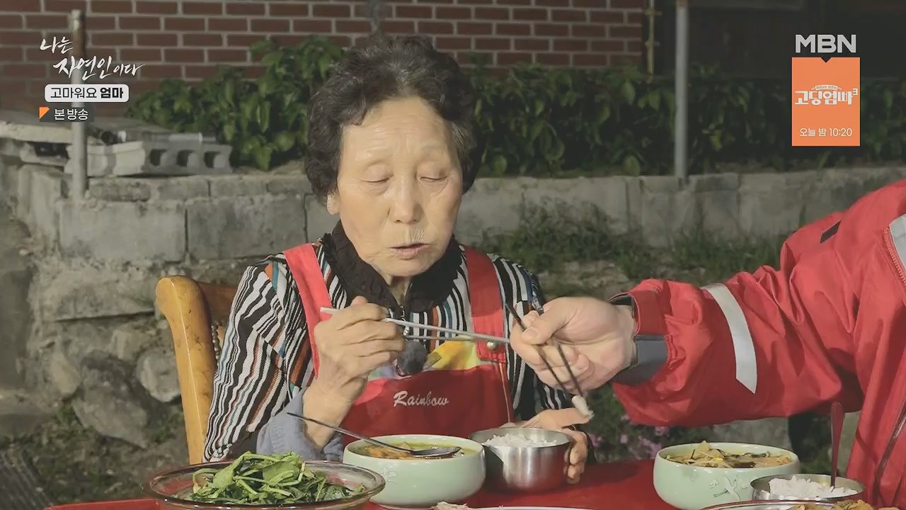 나는 자연인이다.E554.230518p.H264-F1RST.mp4_20230518_194519.569.jpg