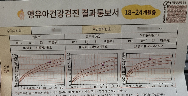 22개월