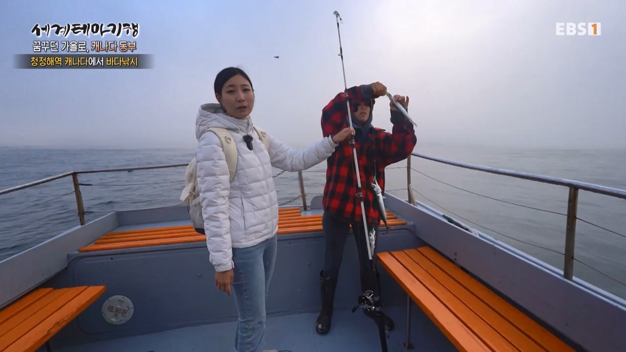 세상의모든기행꿈꾸던 가을로 캐나다 동부-우아, 가을의 맛.mp4_20231205_202921.661.jpg