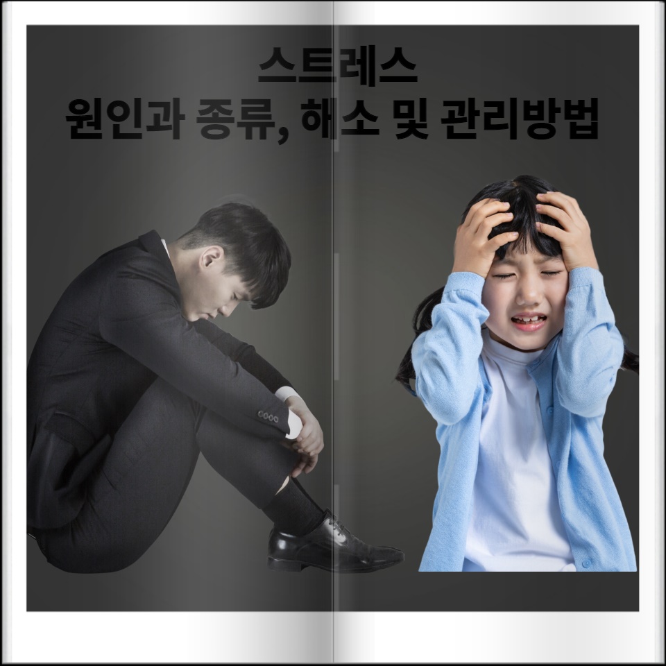  스트레스의 원인과 종류, 해소 및 관리 방법