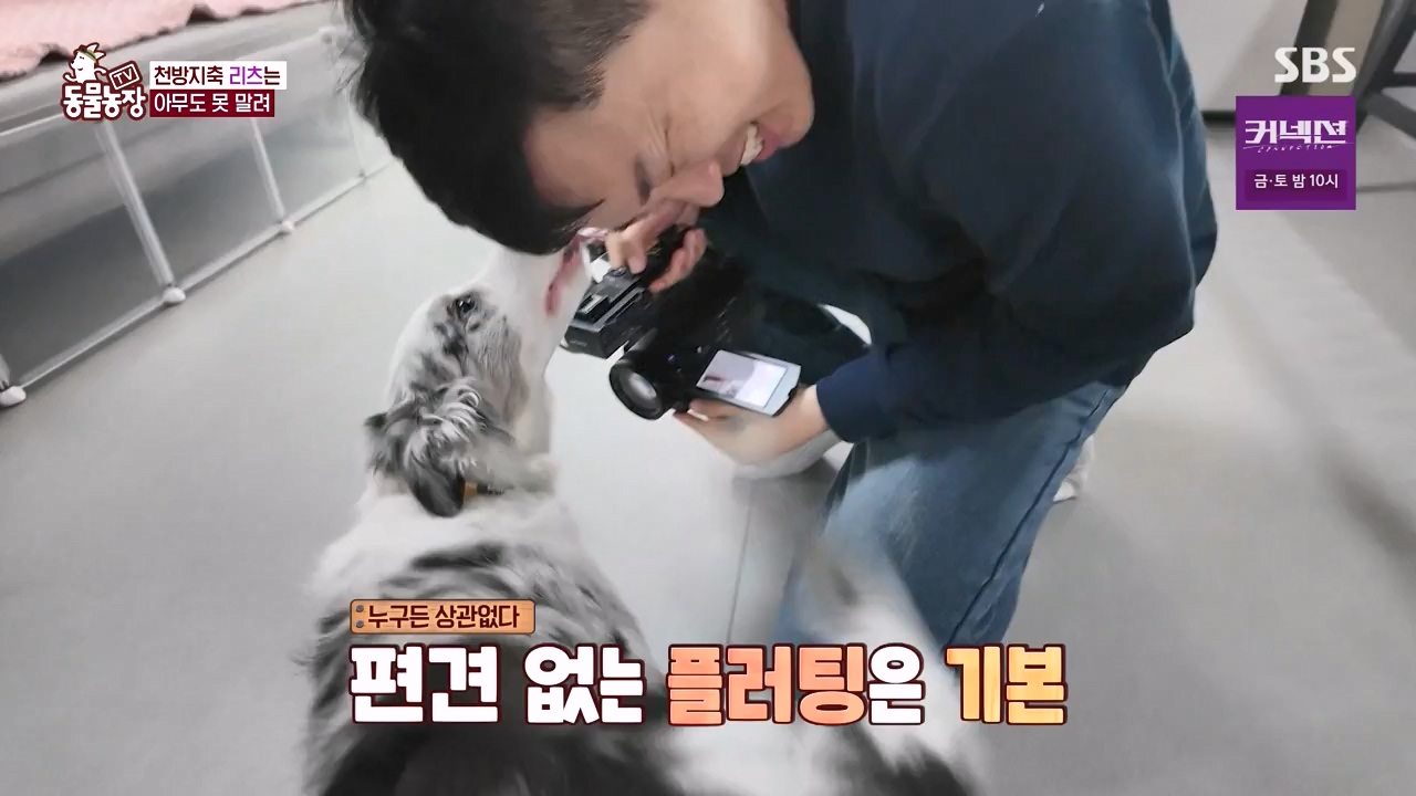 TV 동물농장.E1173.240527p-NEXT.mp4_20240526_155709.600.jpg