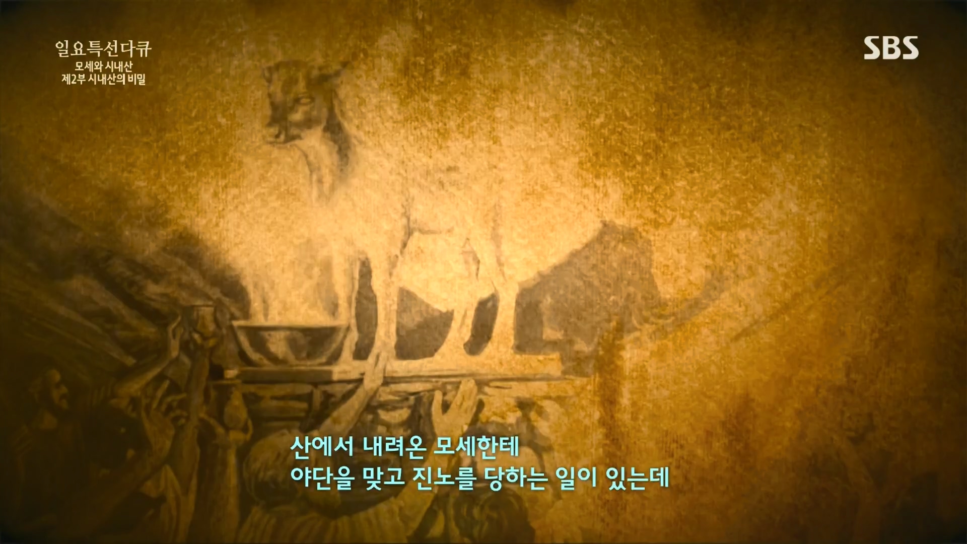 일요 특선 다큐멘터리.E343.240407p.H264-F1RST.mp4_20240410_142715.913.jpg
