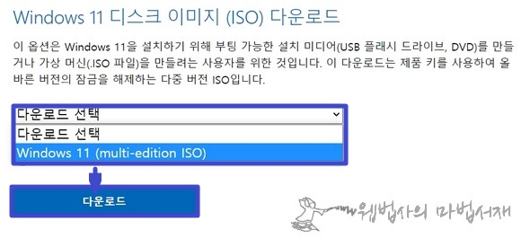 Windows 11 디스크 이미지 (ISO) 다운로드 옵션