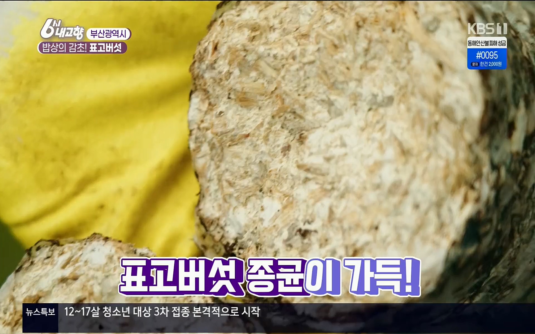 6시 내고향.E7496.220324p.H264-F1RST.mp4_20220328_181545.042.jpg