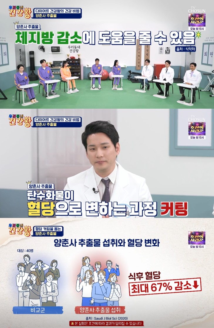 양춘사 추출물 효능 다이어트 주의사항 정보 안내
