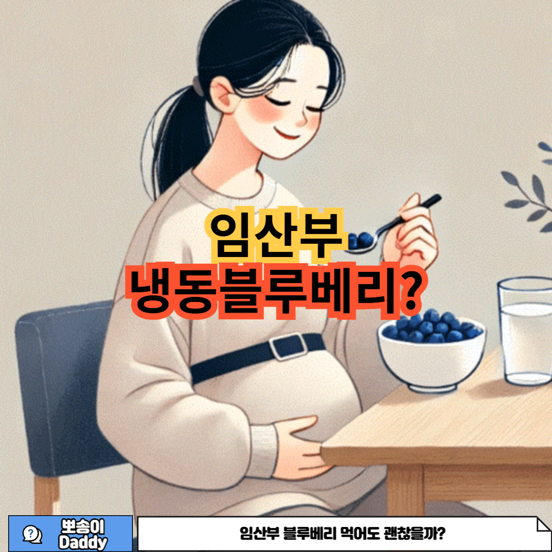 임산부 냉동블루베리 먹어도 괜찮은지에 대한 사진