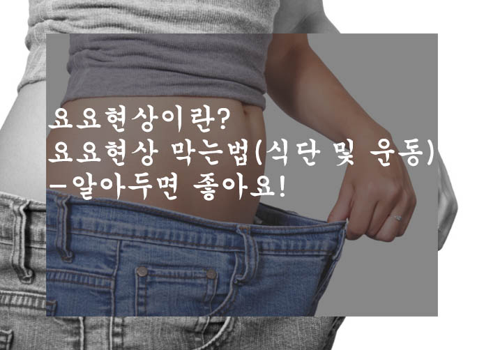  요요현상 이란? 요요현상 막는법(식단 및 운동)-알아두면 좋아요!