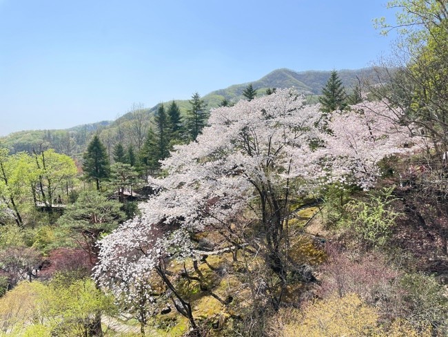 화담숲