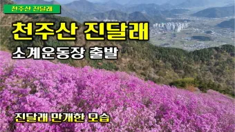 천주산 진달래축제 등산코스 맛집_23