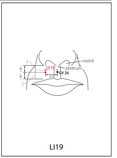 수양명대장경 (LI) > LI19 화료 (禾髎) 1