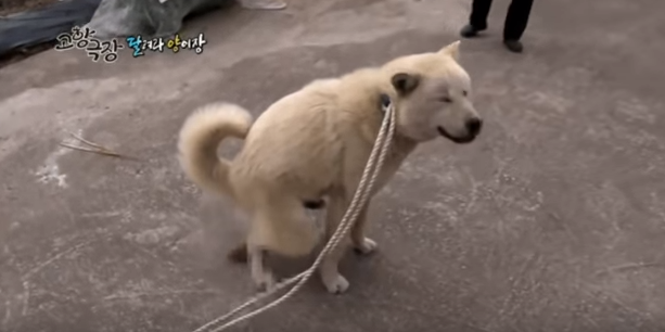  웃긴짤방 ㅣ 역대급웃긴 고향극장 레전드편
