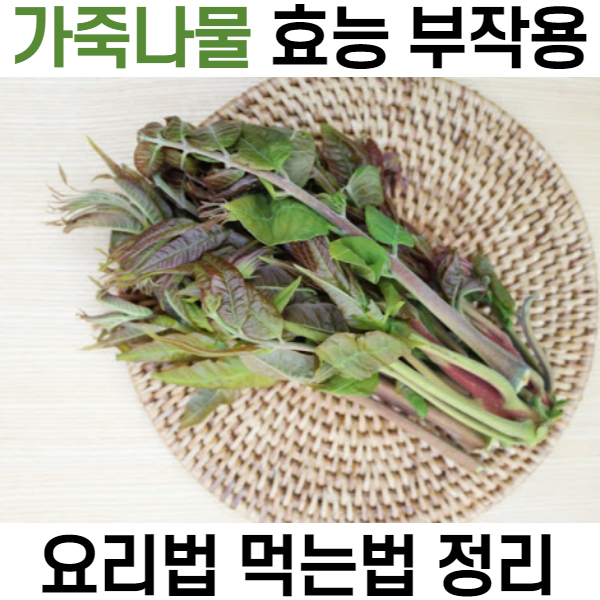 가죽나물 효능 부작용 & 장아찌 무침 등 요리법 먹는법