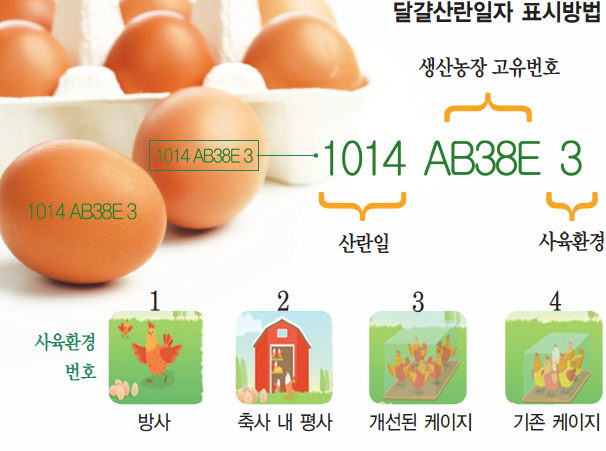 달걀 산란일자 표기 방법(산란일&#44; 농장고유번호&#44; 사육환경)