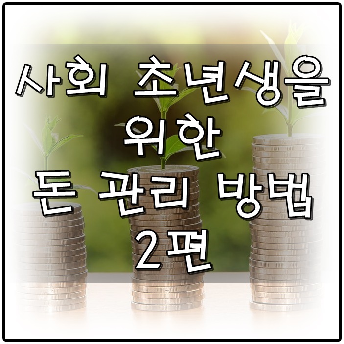  사회 초년생을 위한 돈 관리 방법 - 2편