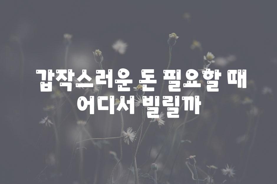  갑작스러운 돈 필요할 때 어디서 빌릴까