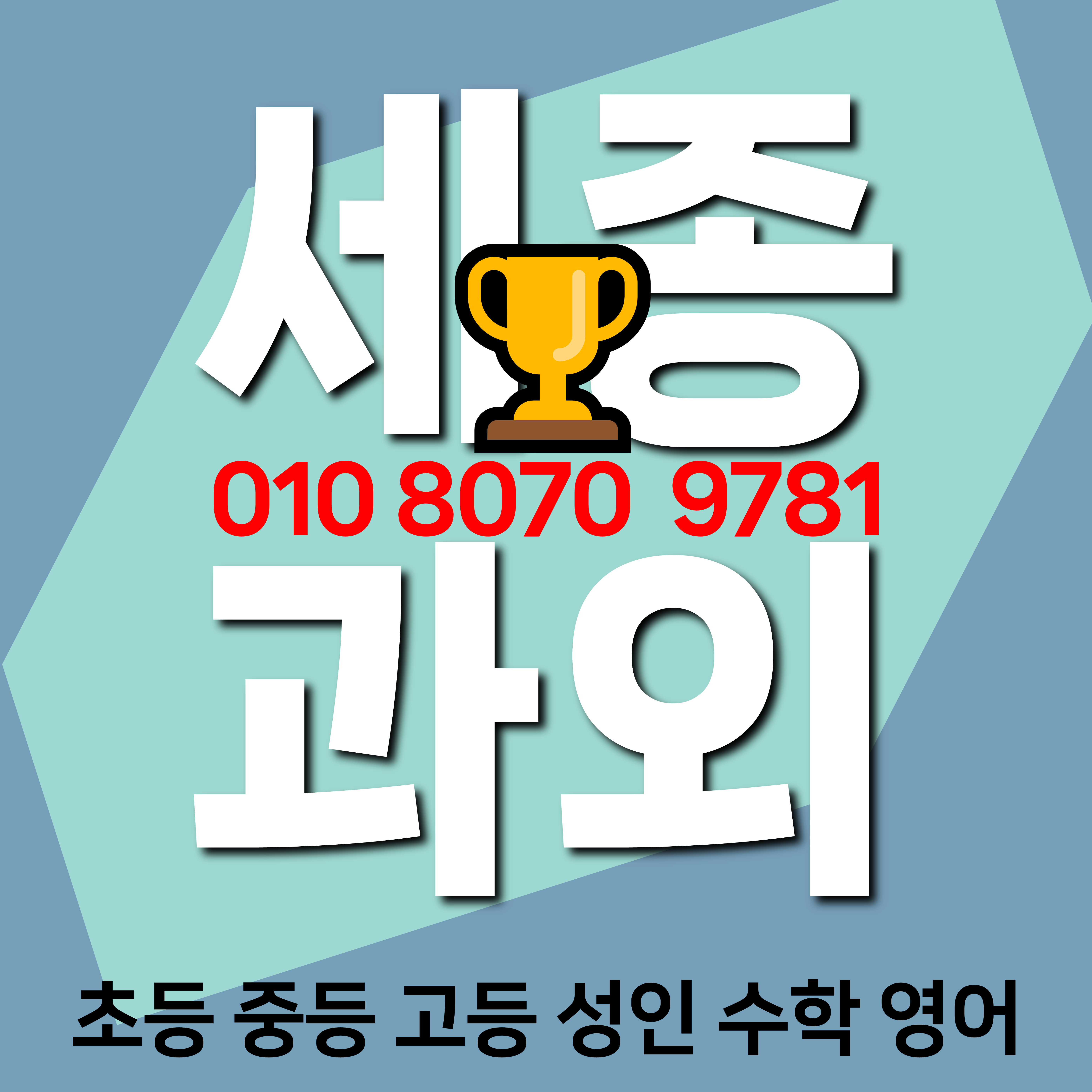  세종 종촌동 초등 수학과외 다빛초등학교 영어과외 종촌초 초등학생 국어 창의적 글쓰기