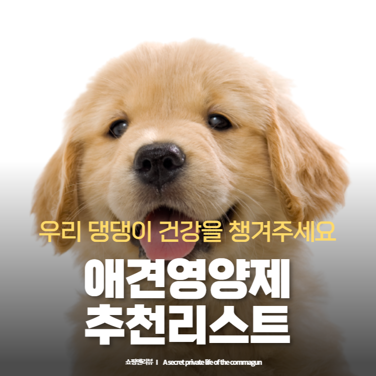  우리 댕댕이 건강을 챙겨주세요. 강아지 영양제 추천리스트