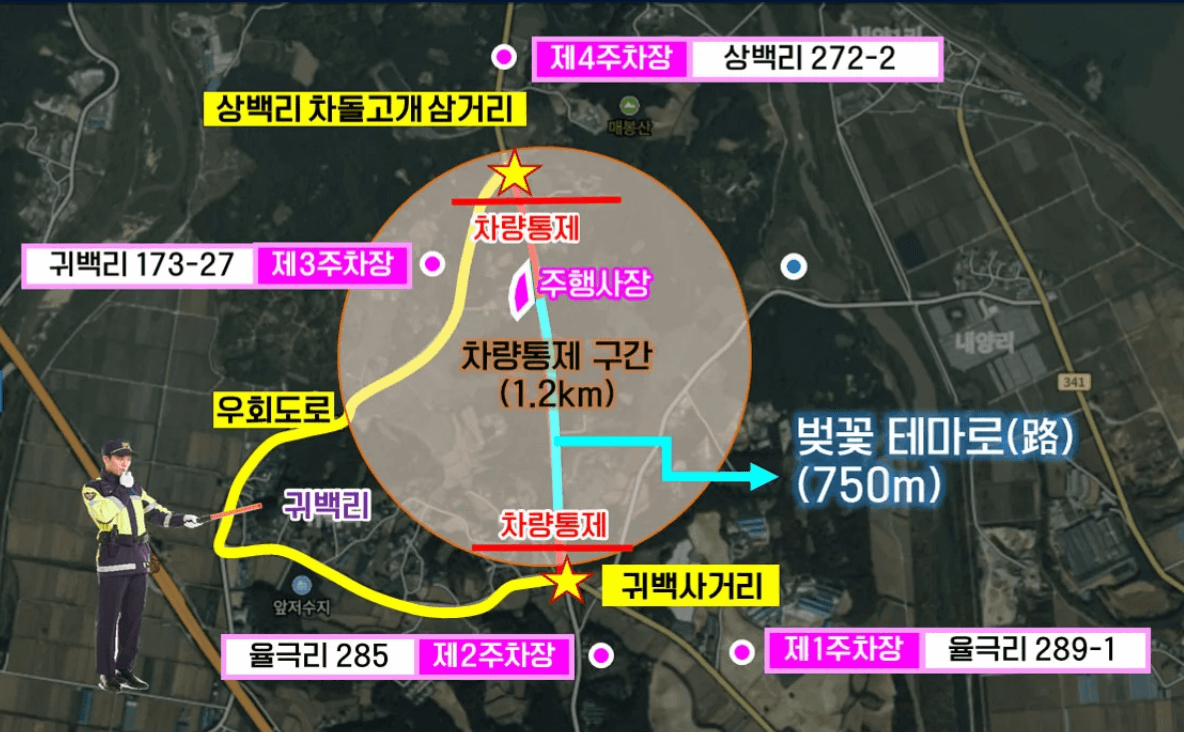 여주흥천남한강 벚꽃축제