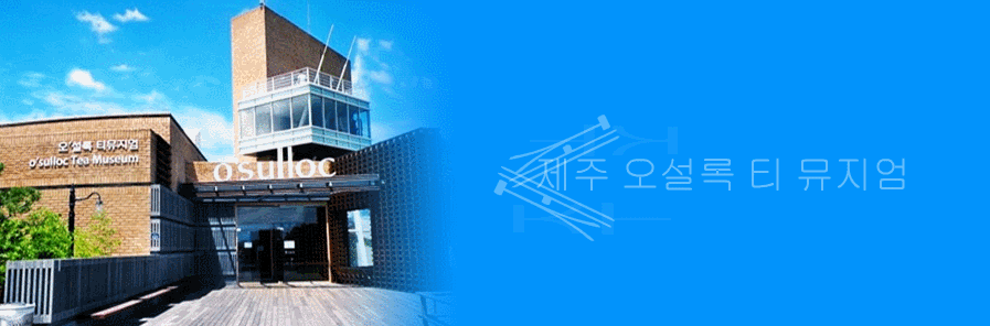  깔끔하고 볼거리가 다양한 오설록 티뮤지엄