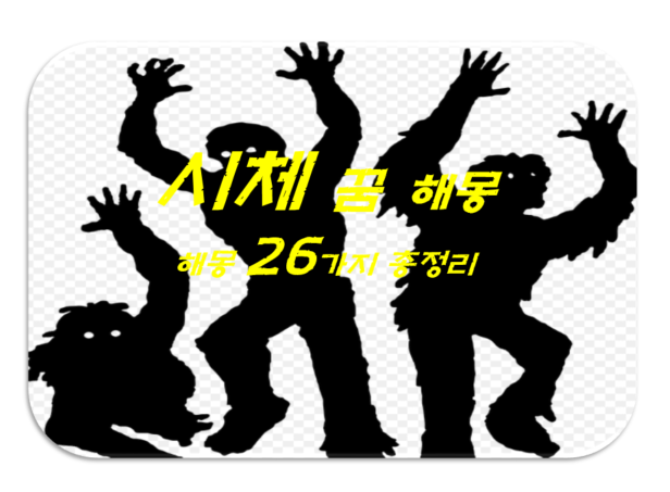  시체 꿈 해몽 26가지 총정리