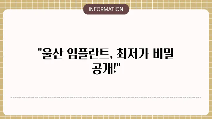 울산 임플란튷80킷 가격비교