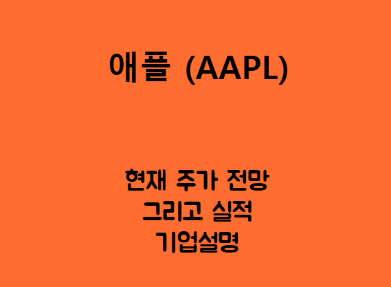  애플 (AAPL) 온통 애플 세상이야.