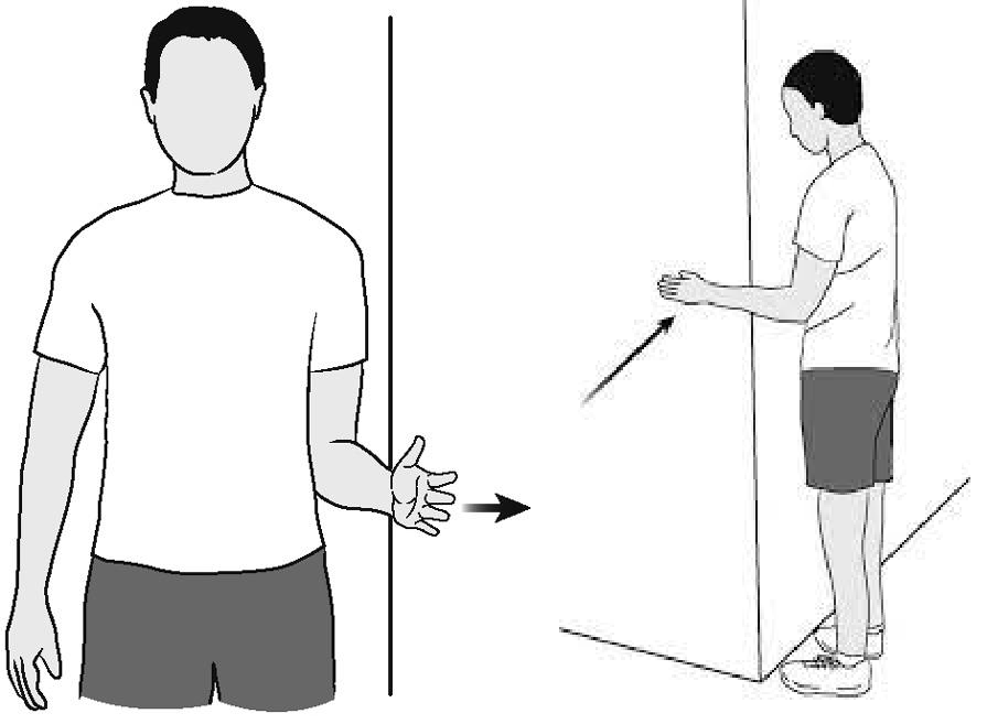 Isometric exercises: internal and external rotation at neutral