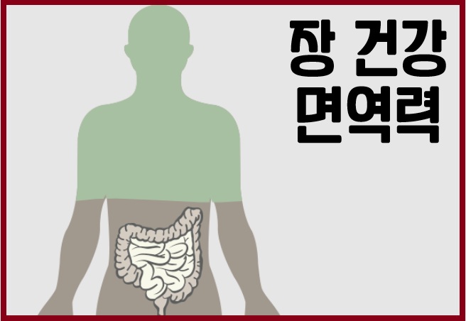 장 건강과 면역력