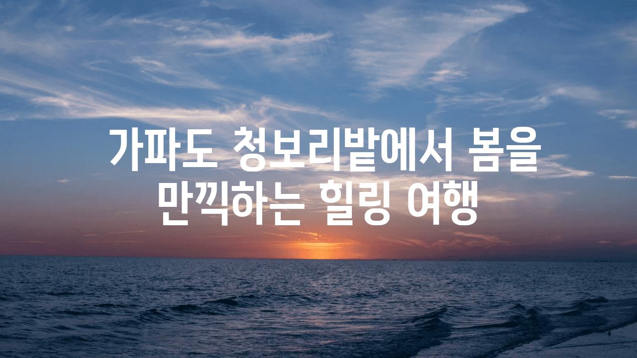  가파도 청보리밭에서 봄을 만끽하는 힐링 여행