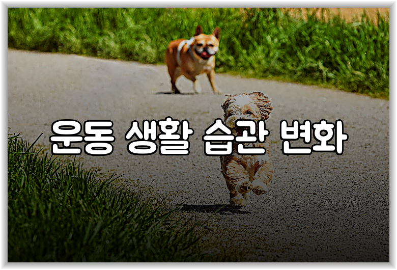 운동 생활 습관 변화