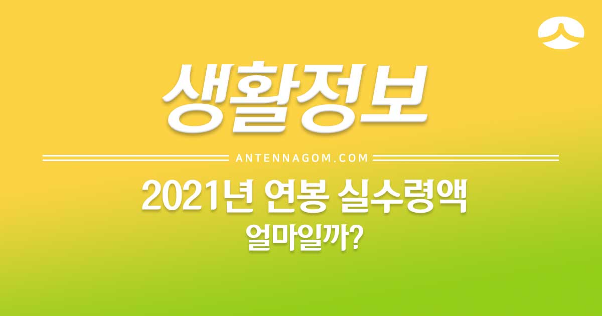  2021년 연봉 실수령액, 내 월급 계산하기