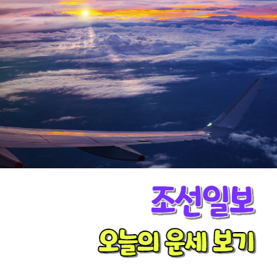 조선일보 오늘의 운세 일출 비행기날개 이미지