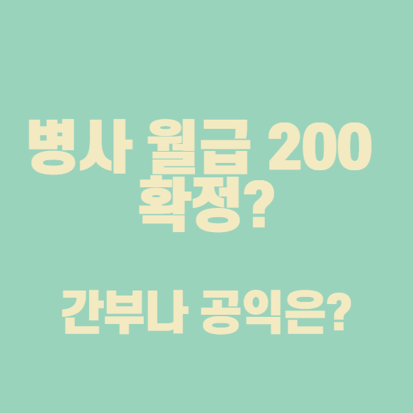 병사 월급 200 확정된다면 간부나 공익은?