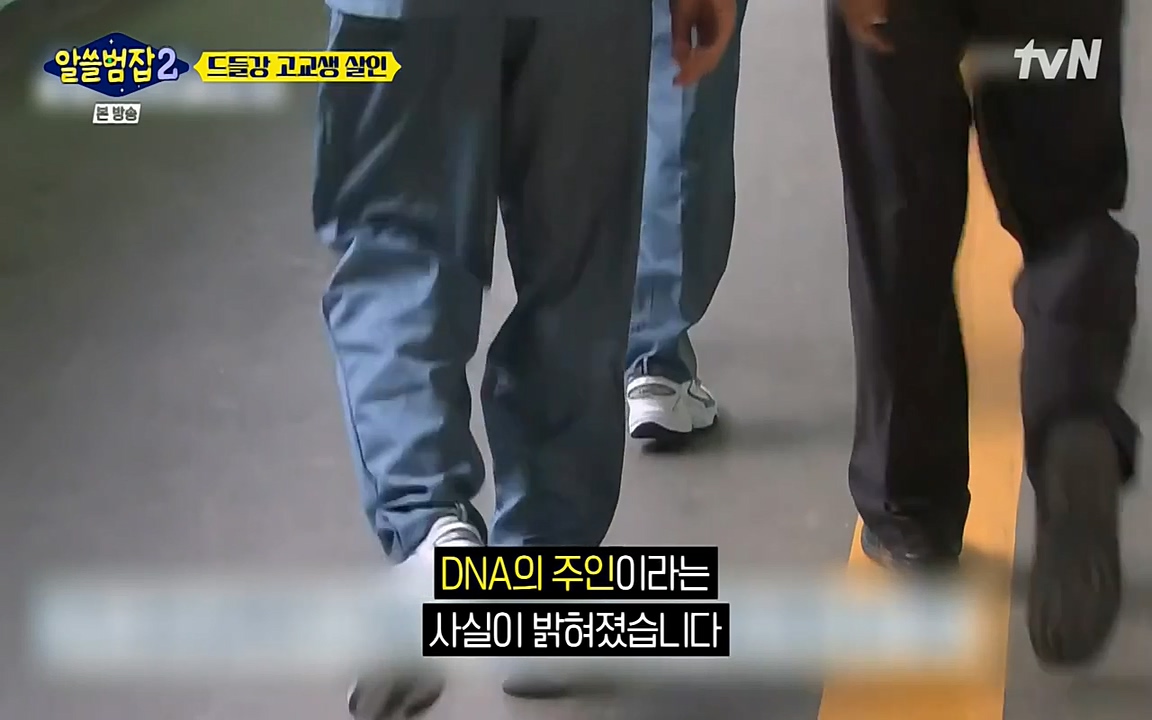 알쓸범잡 2.E15.220425p-NEXT.mp4_20220425_185752.924.jpg