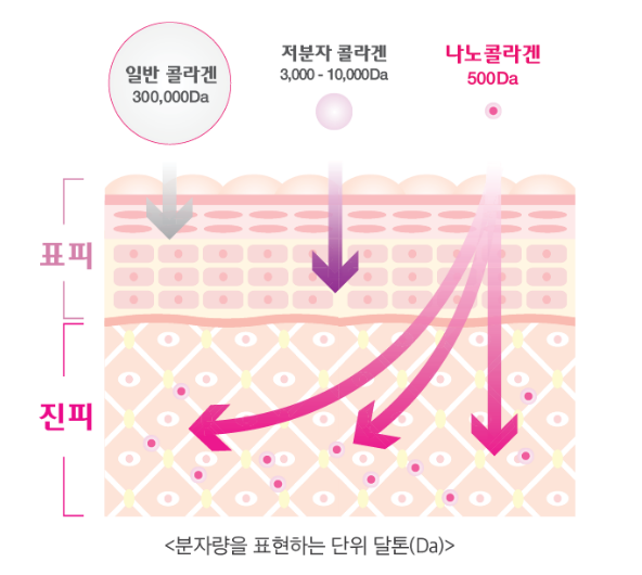 콜라겐의 섭취를 극대화 하는 방법(2)