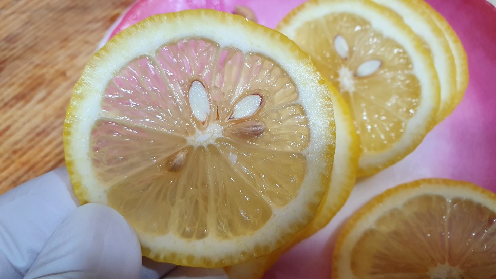 레몬물 보려면 레몬즙 드세요 7
