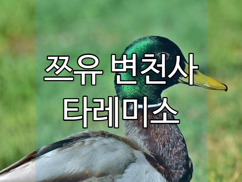  쯔유의 변천사! 일본 전통 - 소바 쯔유의 하모니