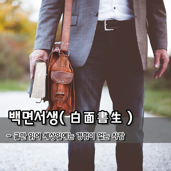  백면서생(白面書生)