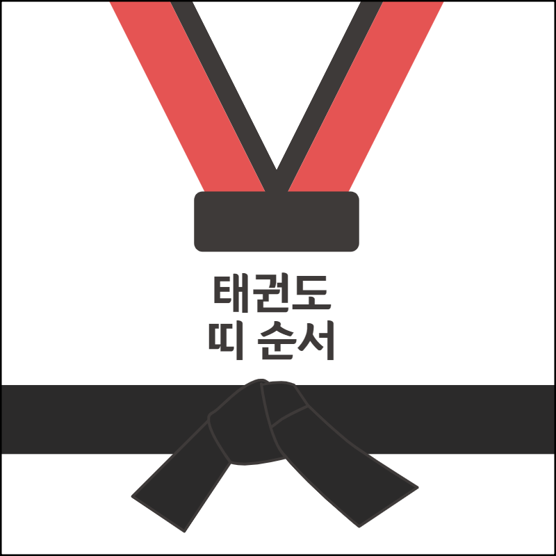 태권도 띠 순서와 단증 조회하는 방법