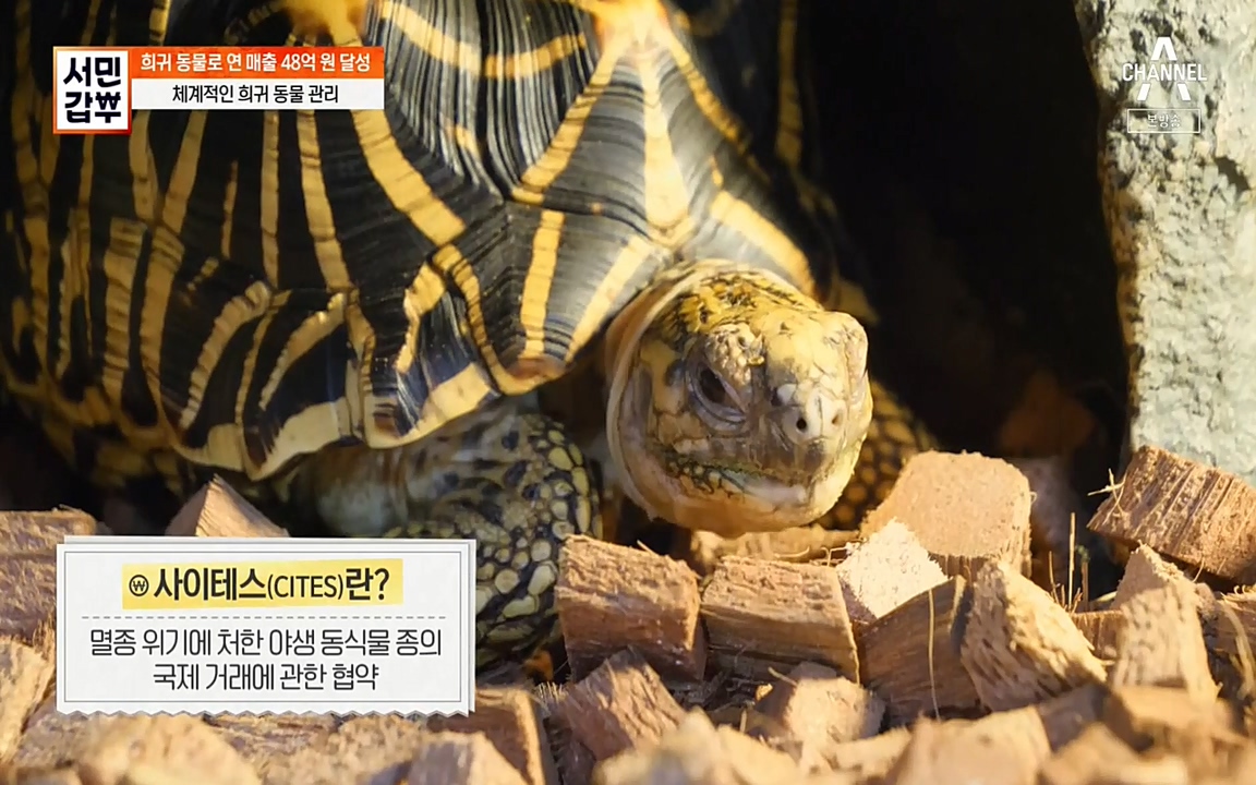 서민 갑부.E381.220431p-NEXT.mp4_20220501_174809.001.jpg