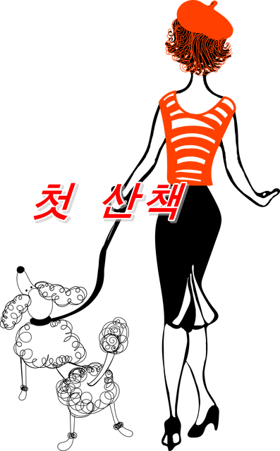  개와 산책, 주인이 알아야 할 것은