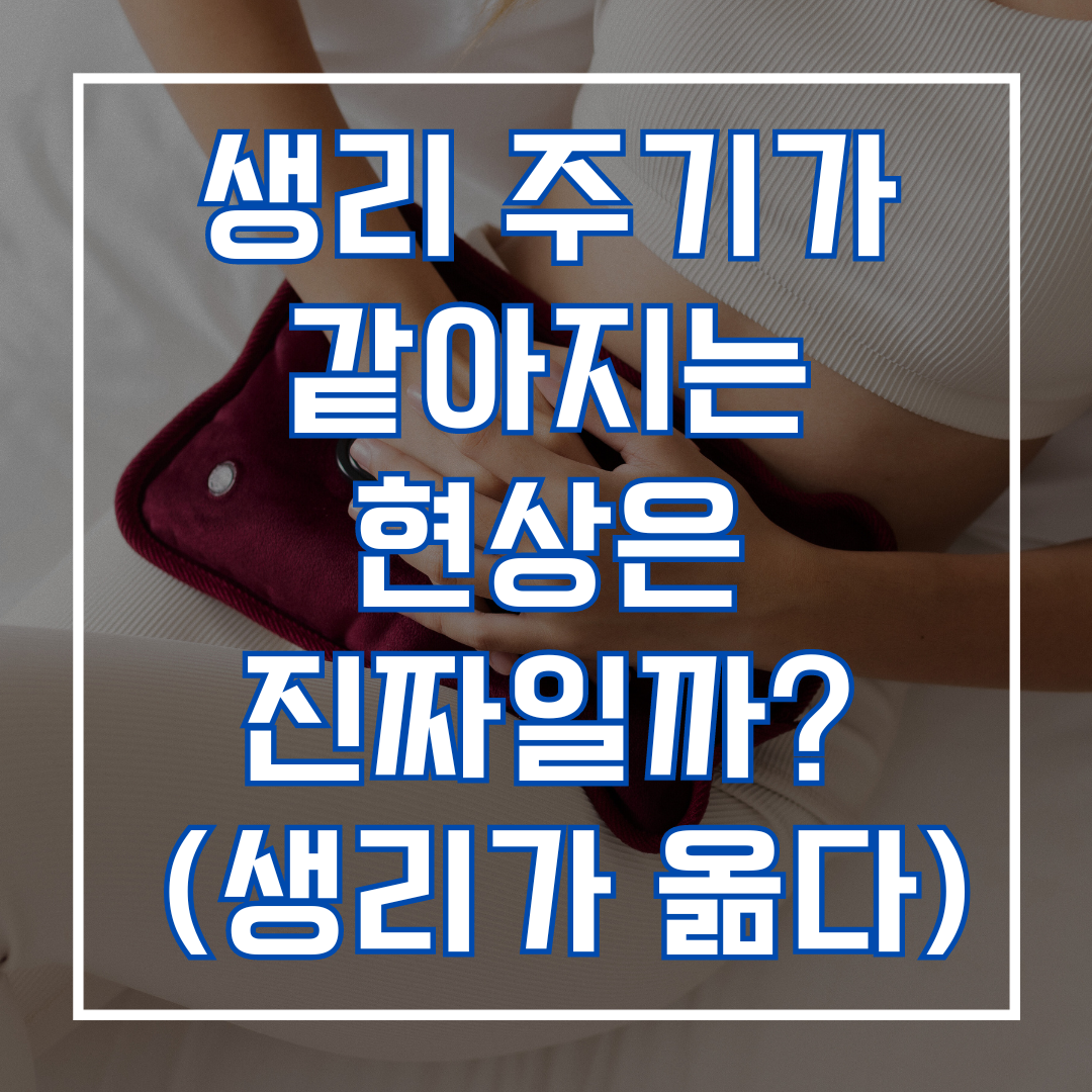 생리 주기가 같아지는 현상은 진짜일까? : 생리가 옮다?