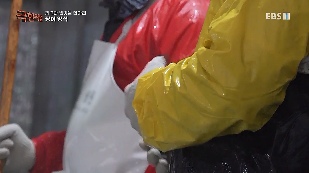 TV - 교육의 중심 EBS기력과 입맛을 잡아라 장어와 대게.mp4_20230313_183608.885.jpg