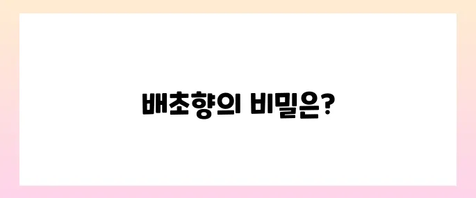 배초향 효능, 부작용 및 먹는법