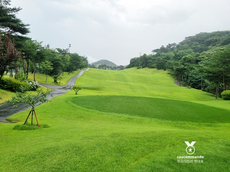 연예인 골프 순위 연예인들이 참여하는 22