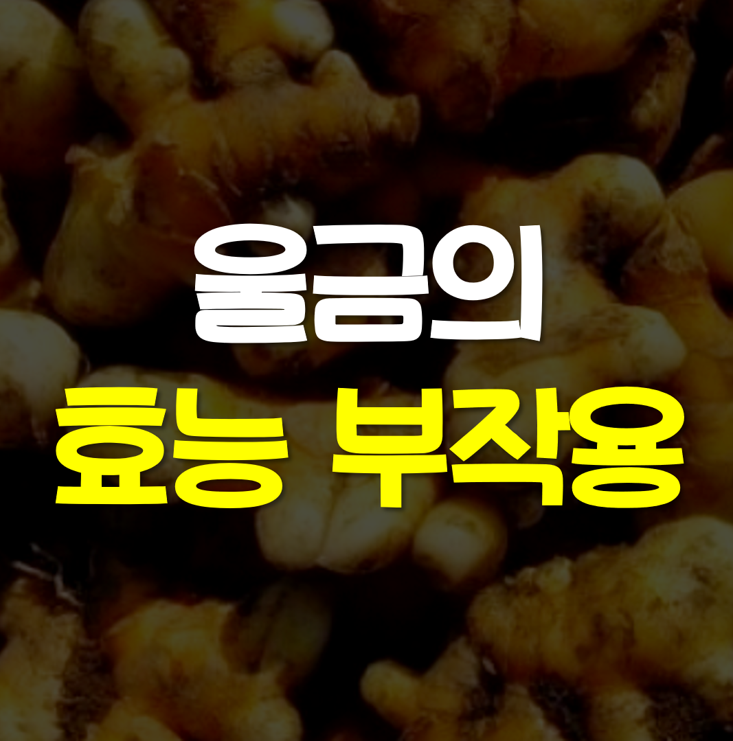  울금 효능