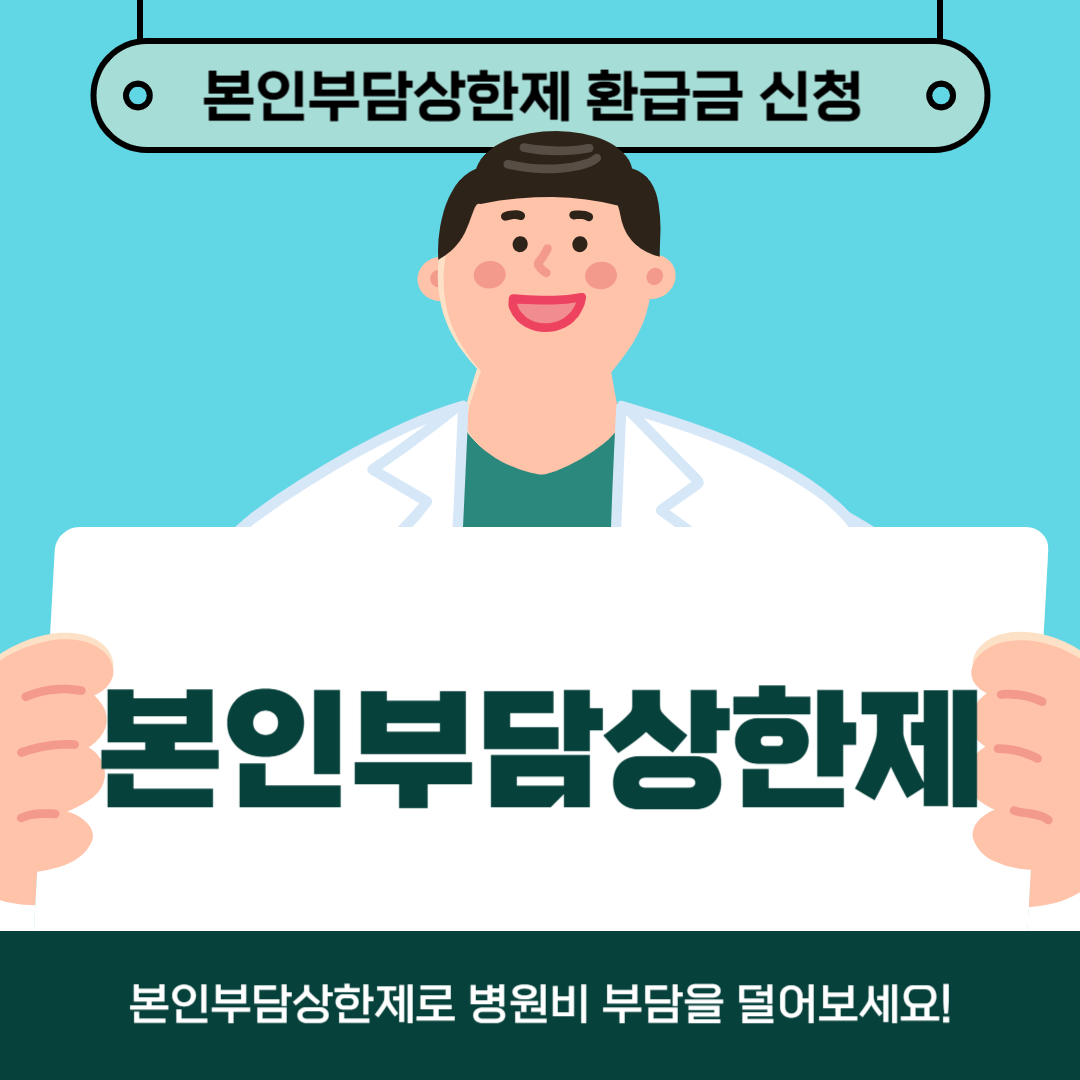 본인부담상한제