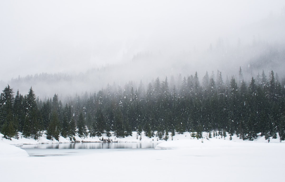 Heavy snow