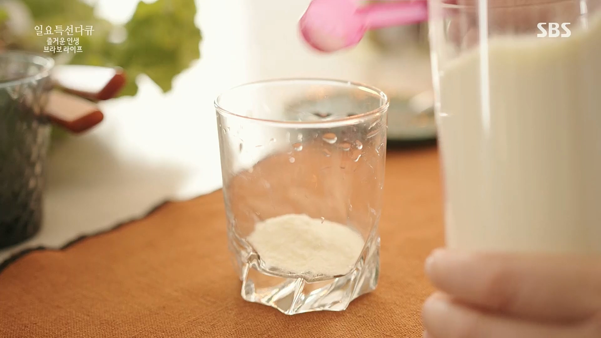 일요 특선 다큐멘터리.E292.221016p.H264-F1RST.mp4_20221018_183617.311.jpg